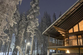 Levi Ski IN Ski OUT Premium VillaWestWind B